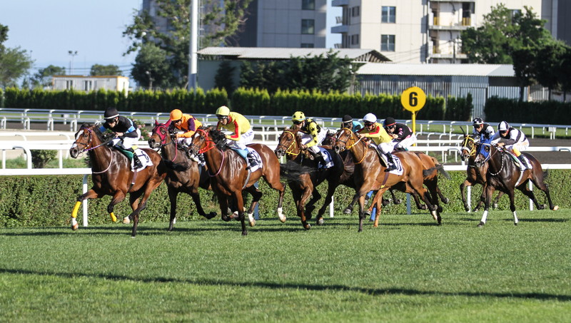 競馬 戦略 転がし